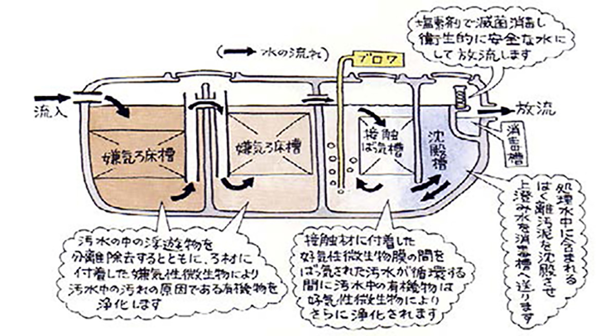 (1) BOD除去型 嫌気ろ床接触ばっ気方式